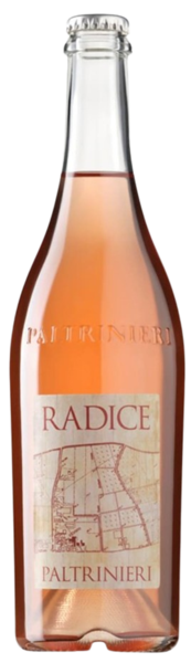 wino paltrinieri radice lambrusco pet nat kwasne winogrona vini e affini