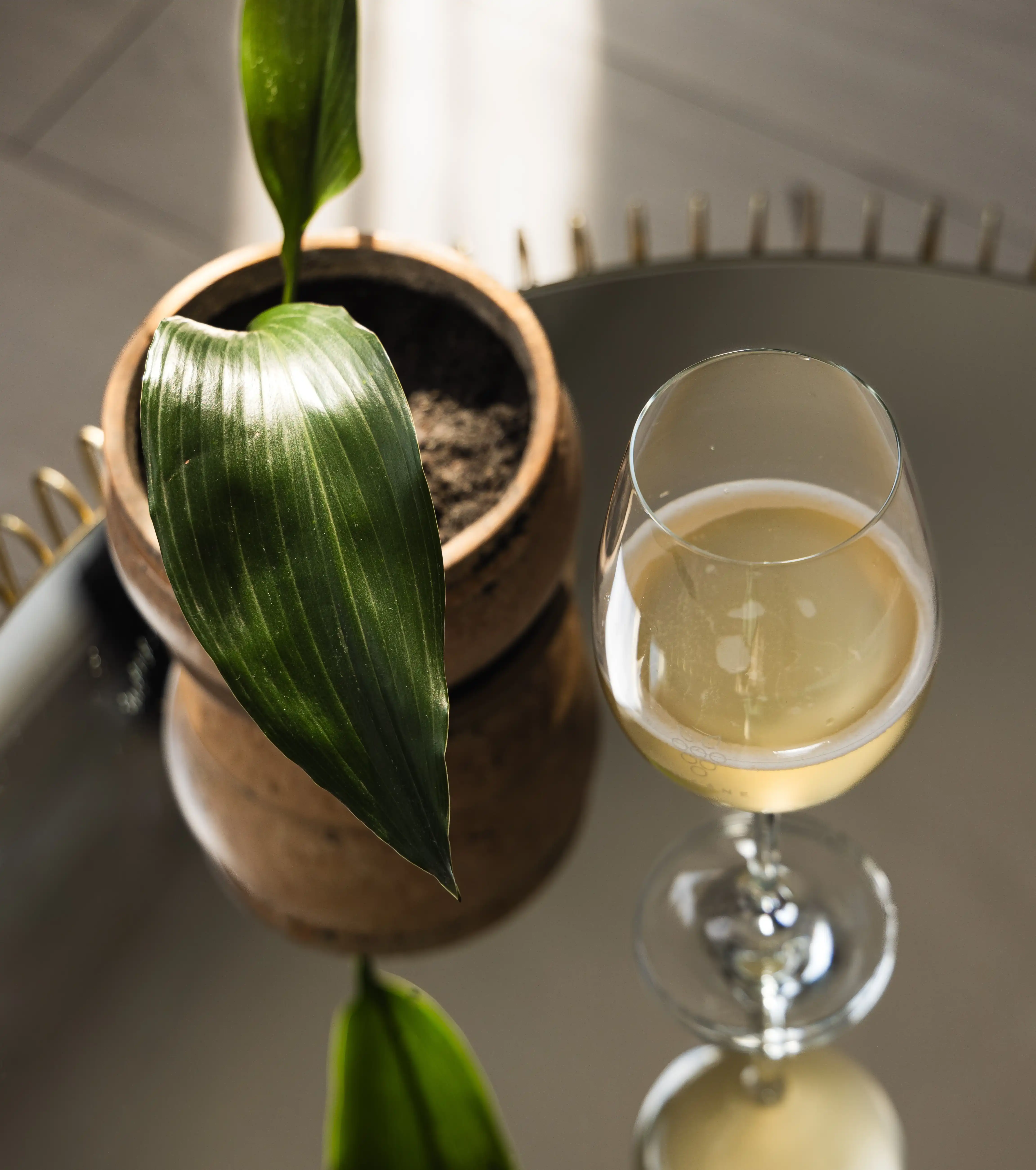 Hero banner wina na majowke nasze pomysly